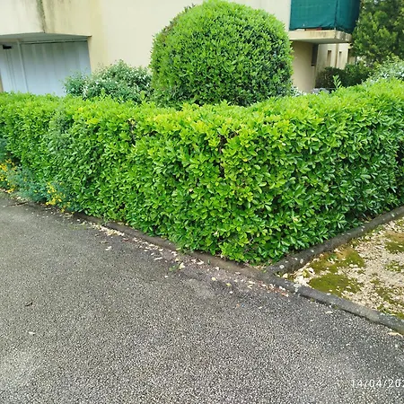 Appartement Lumineux Et Propre